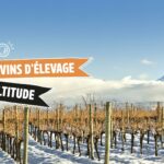 vins elevage altitude