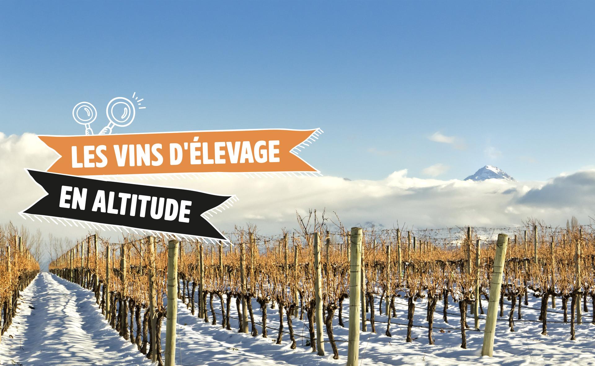 vins elevage altitude