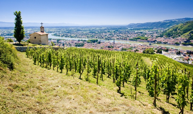 vins vallée du rhone