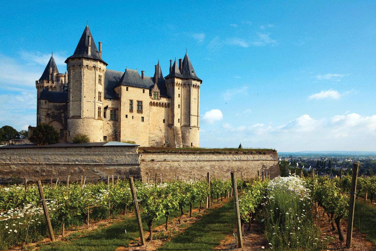 vignobles français oeni