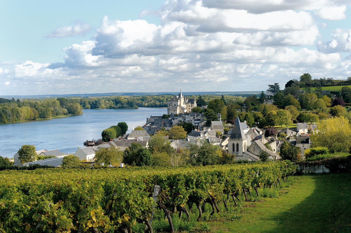 vins de loire oeni