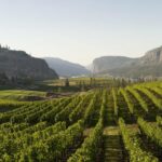 vin penticton