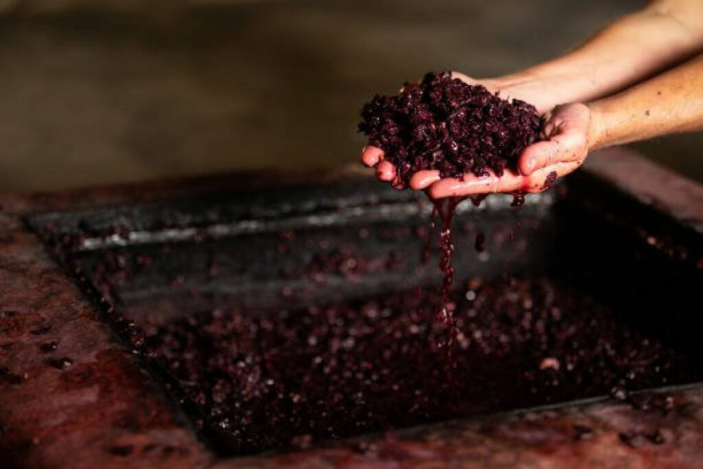 fermentation-alcoolique-vin