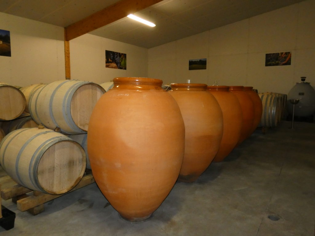 vin-amphore