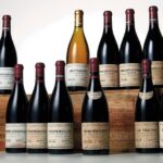 collection-bouteille-vin