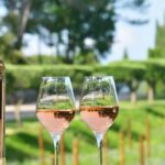 acheter-vin-domaine