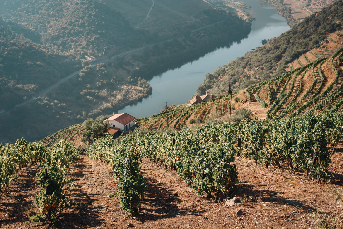 paysages-vins-Géorgie