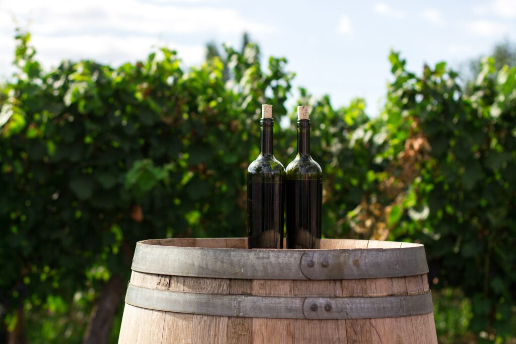 viticulture-ancree-culture-populaire