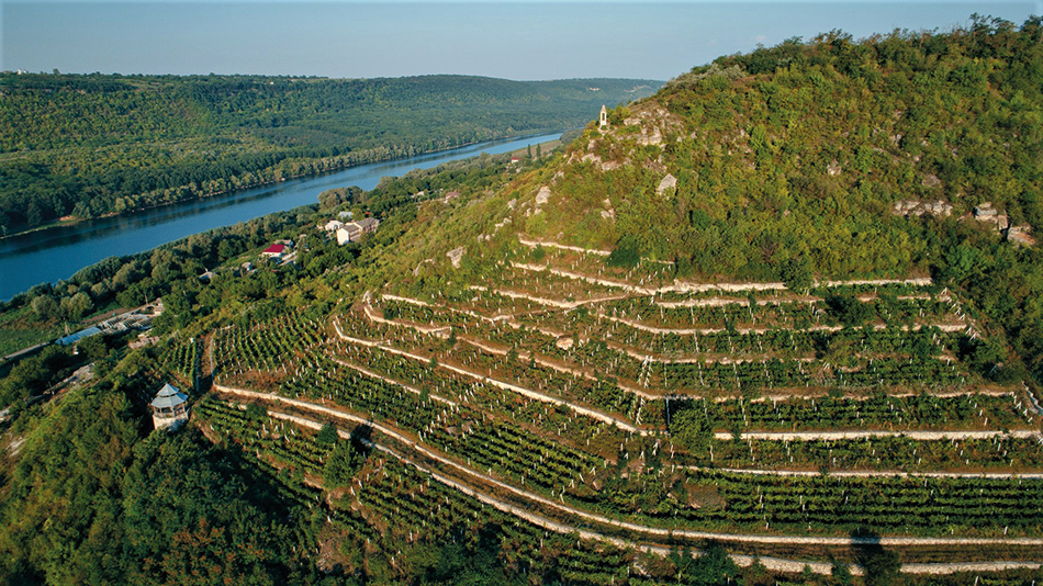 vignes-vin-moldavie