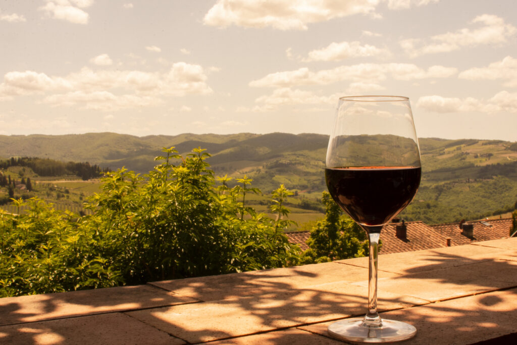 degustation-vin-paysage