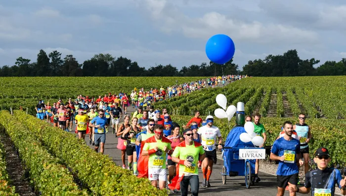 découvrir-vin-medoc