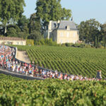 marathon-Médoc-courir-déguster-vin