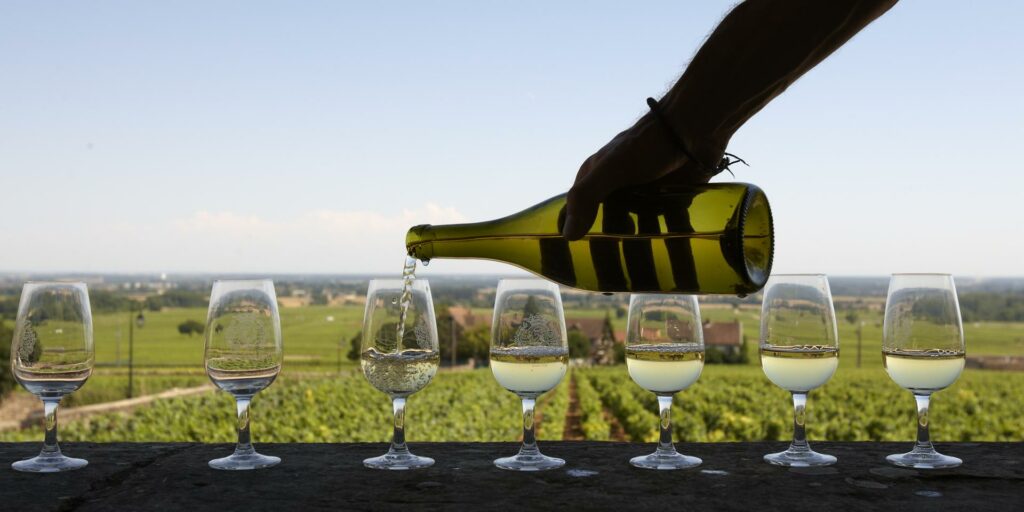 vin-bourgogne