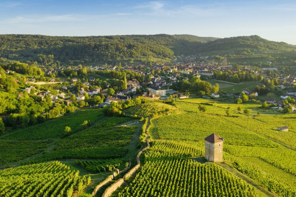 decouvrte-vignoble-jura