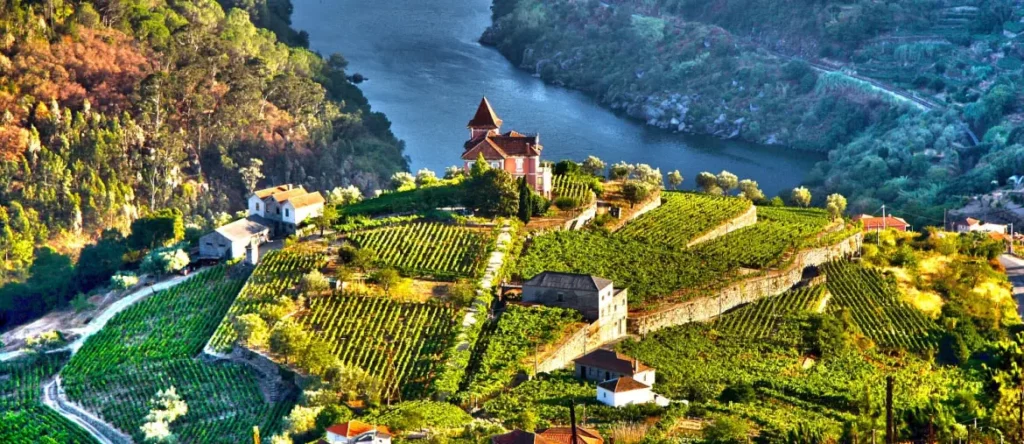 vallee-Douro-vin