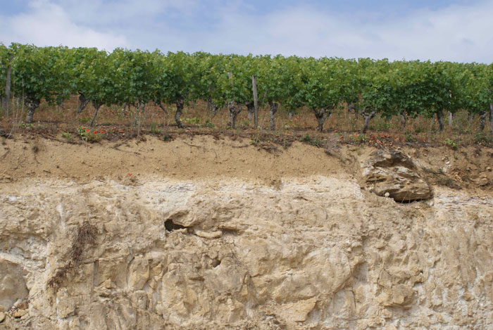 sol-calcaire-vin-blanc