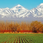route-vin-argentine