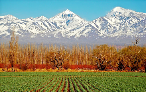 route-vin-argentine