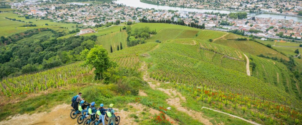 vignobles-vallée-Rhône