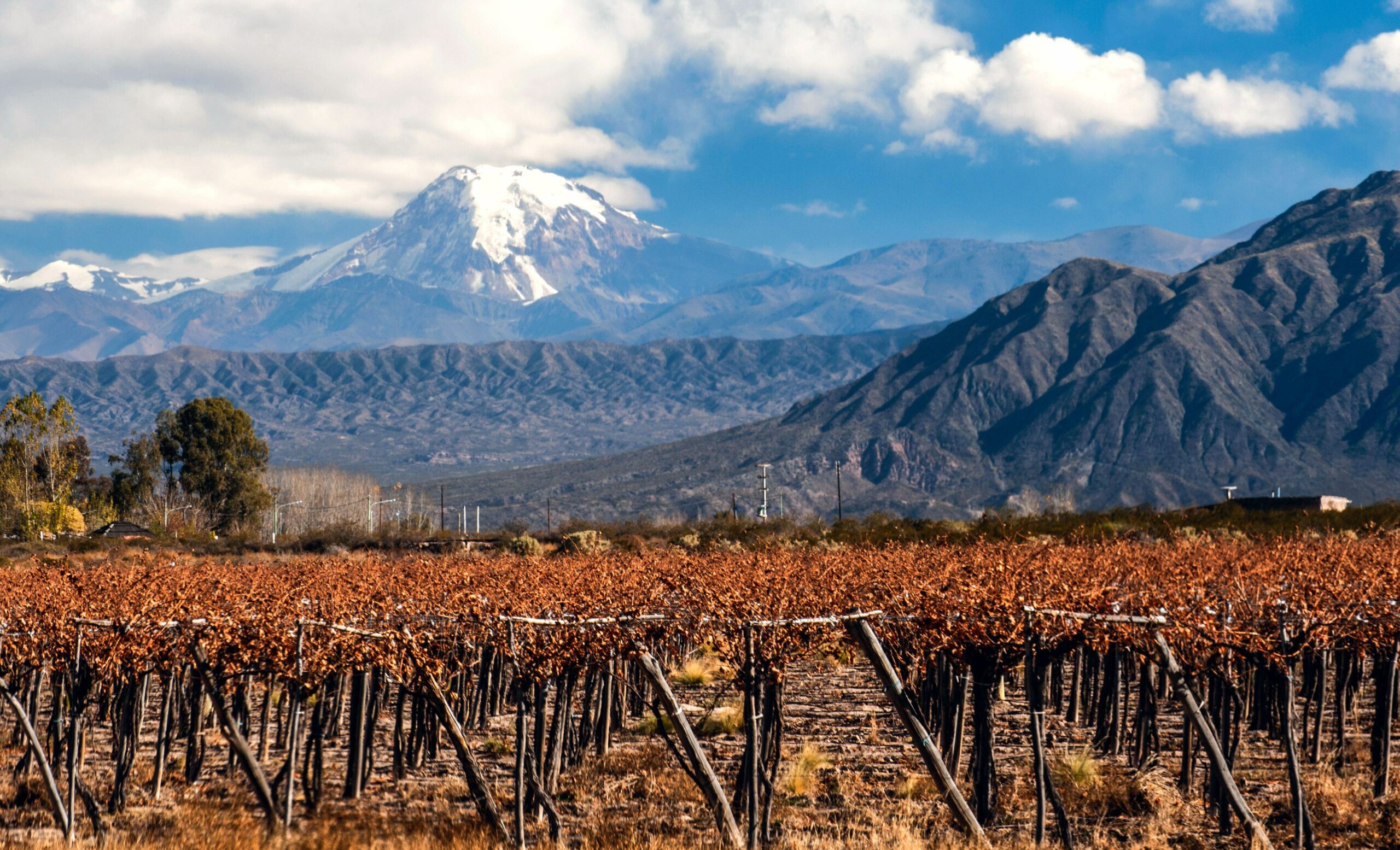decouverte-vins-Patagonie