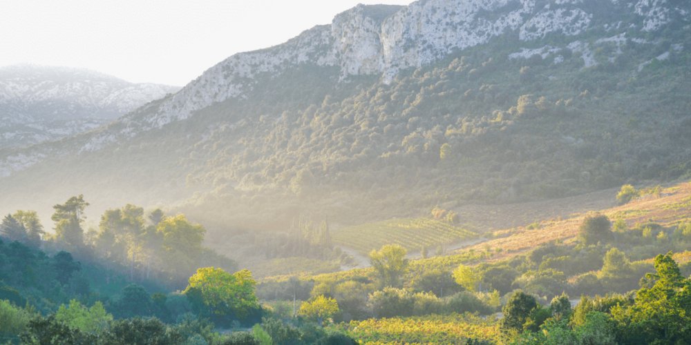 Languedoc-Cave-Castelmaure