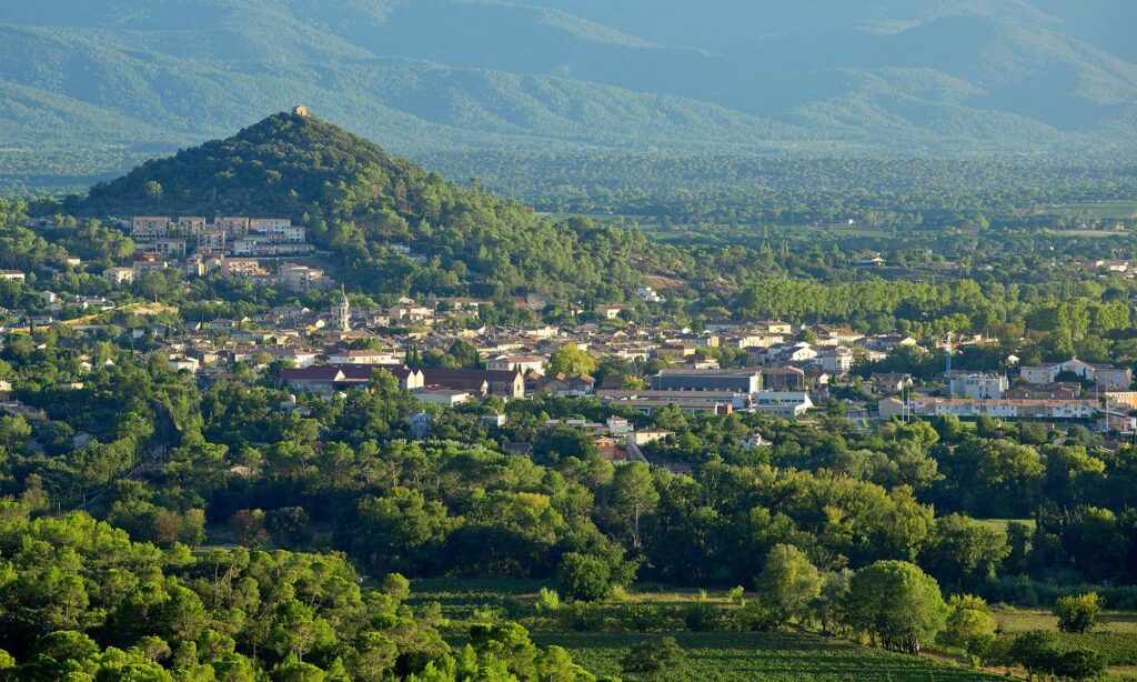 Provence-coopérative de-Vidauban