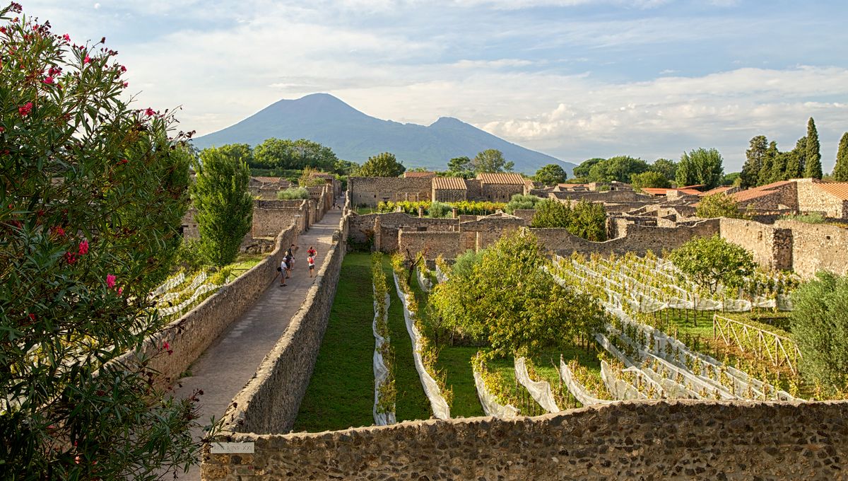 vignobles-volcaniques-Italie