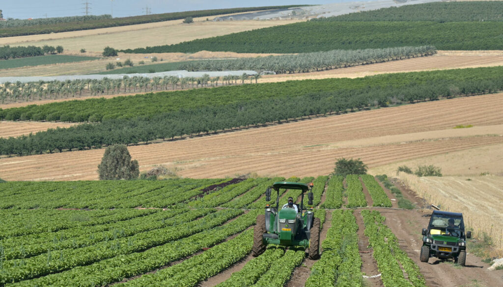 vin-israel-paysage