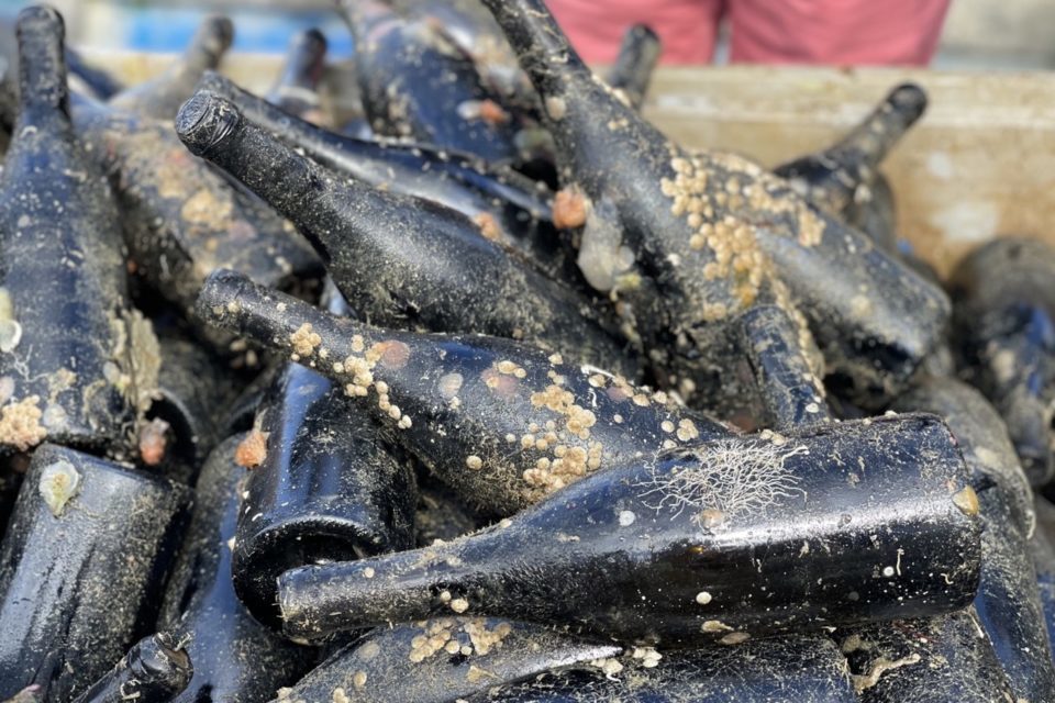 Les vins vieillis en mer : mythe ou réalité sensorielle ?