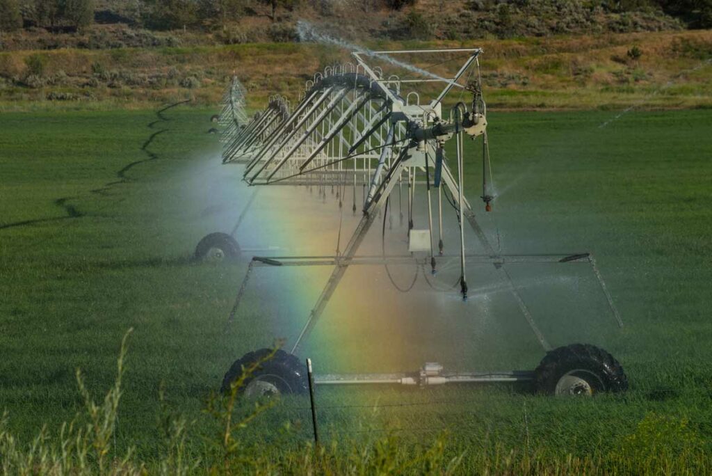 utilisation-eau-luie-viticulture