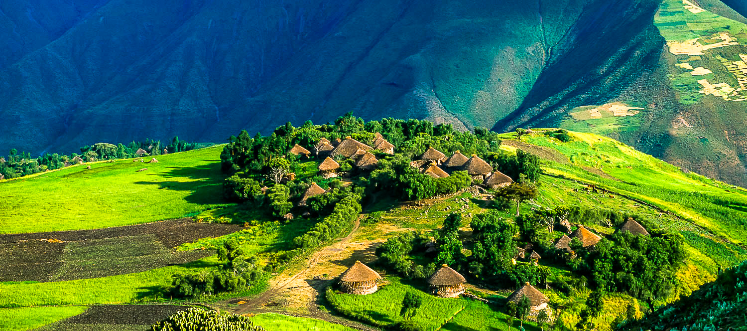 vignes-vin-ethiopie