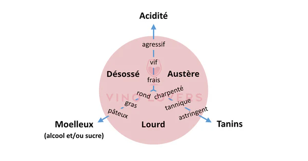 équilibre-dégustation-vin