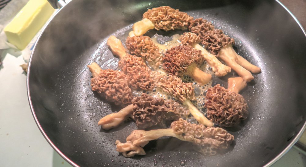 morilles-accord-vin
