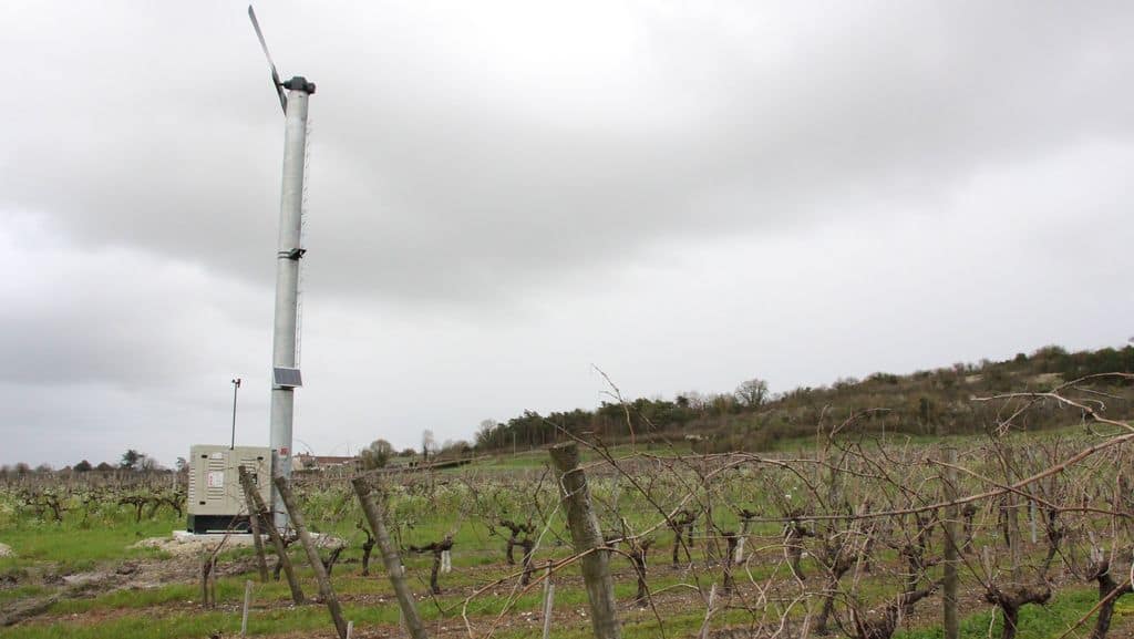 tours-antigel-vignes
