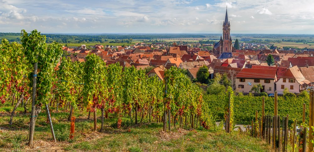 Alsace-vendanges-tardives