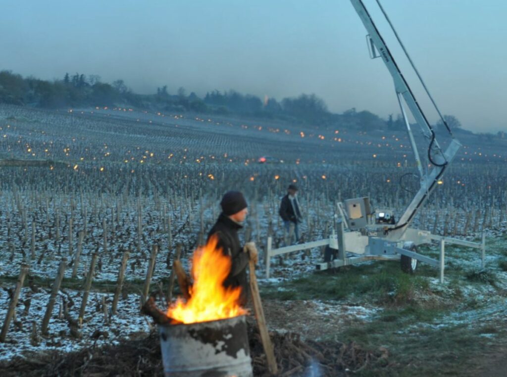 outils-gerer-changement-climatique-vin